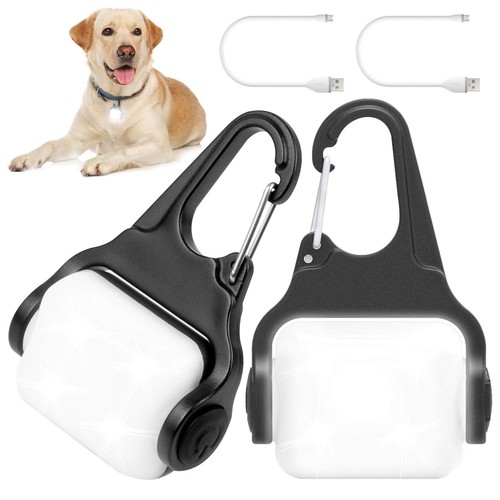 Dog lights for - for, walking