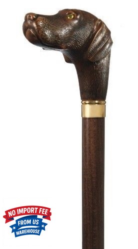 Concord harvy brown lab - harvy,