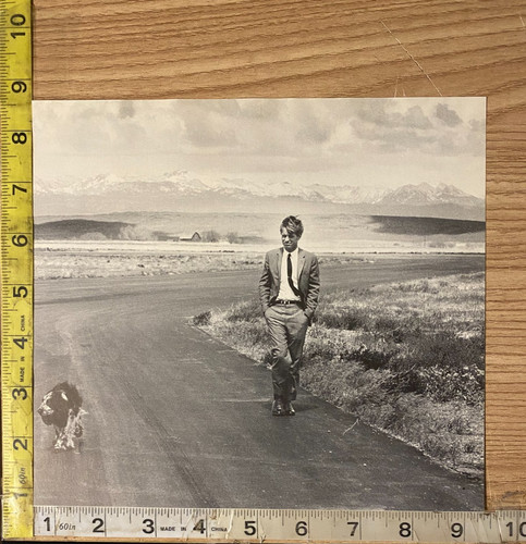 Robert kennedy walking road - robert,