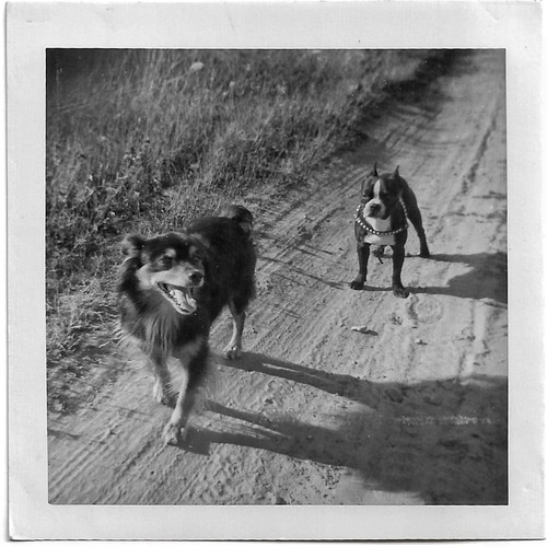 Vintage old photo - old, australian