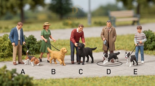 Person walking dog - person,