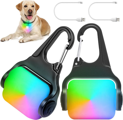 Dog lights for night - dog, walking