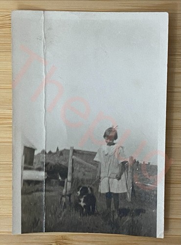 Old snapshot photo girl - photo,