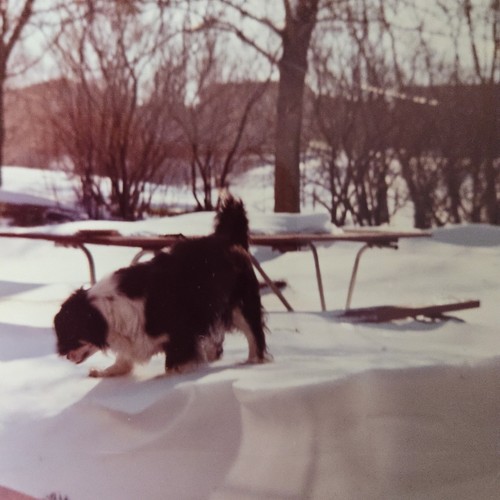 Vintage 1970s color photograph - color,