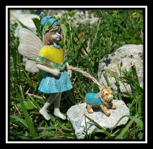 Fairy chelsea walking - chelsea, puppy