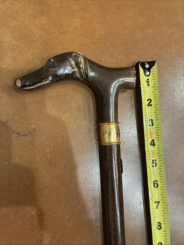Concord harvy greyhound dog - greyhound,
