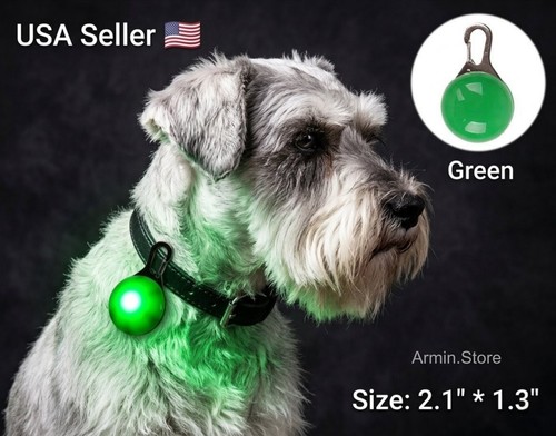Led dog cat - cat, light