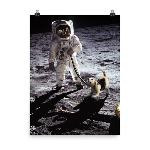 Neil armstrong buzz aldrin - neil,