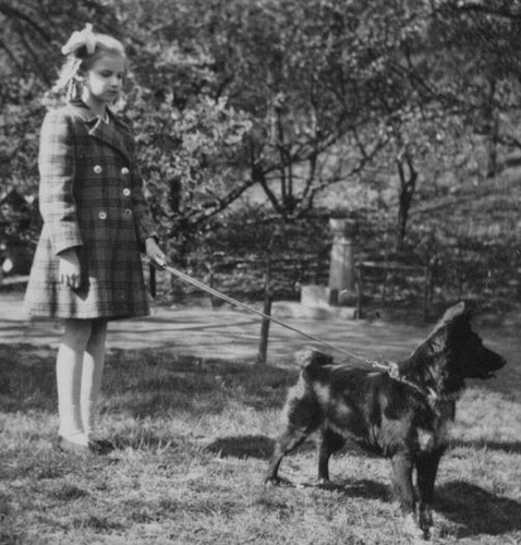Girl walking dog - walking, park
