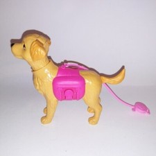 Barbie Dog Walk on Leash