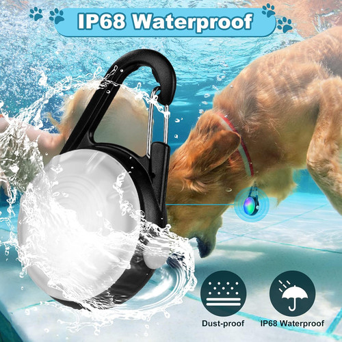Clip dog collar - clip-on, light
