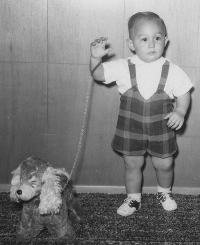Boy walking toy dog - walking,