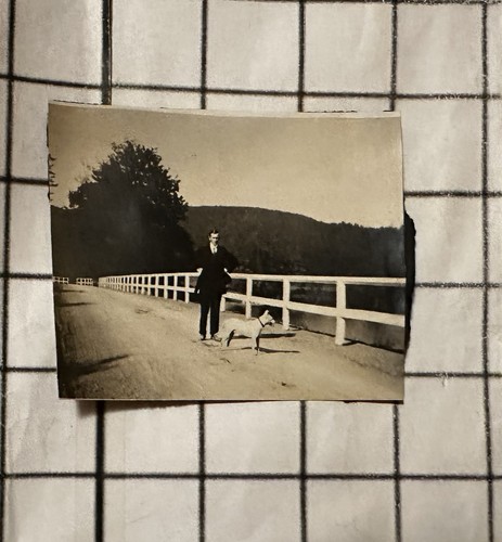 Vintage photo man walking dog - vintage,
