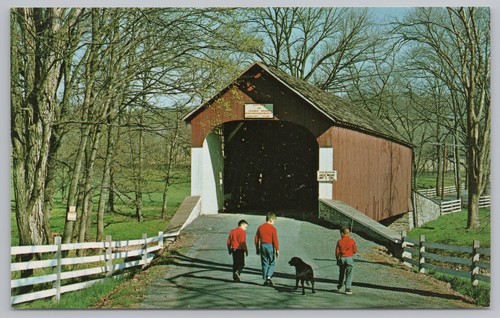 Bridge kids walking dog - bridge~kids,