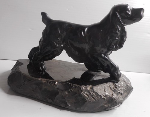 Cocker english spaniel - english, black