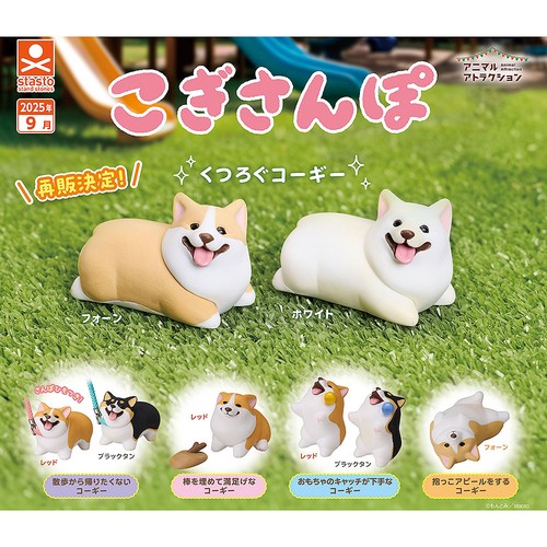 Animal attraction corgi - animal,